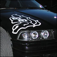 Ottawa GeeGees Logo on the side fender and hood of car. Vinyl used: Black and white.